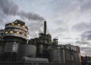 Mendekati Tren 2024, Pergerakan Harga Minyak dan Faktor-Faktor yang Mempengaruhi Kebijakan OPEC+