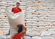 Seiring Kenaikan Harga Beras, Saham NASI dan HOKI Ikut Melejit