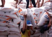 Sejumlah Bahan Pangan Alami Tren Penurunan